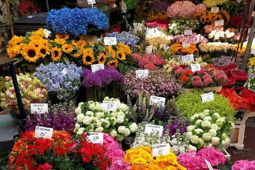 花卉采購(gòu)APP開(kāi)發(fā)的功能及其優(yōu)勢(shì)(圖2)