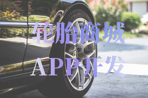 德州輪胎商城APP開(kāi)發(fā)功能介紹