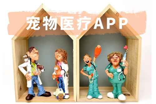 寵物醫(yī)療APP開發(fā)有哪些功能