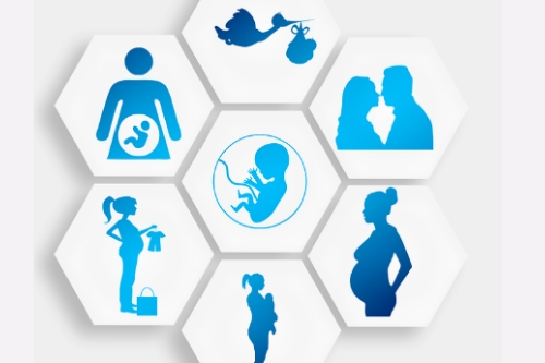 孕期指導(dǎo)app開(kāi)發(fā)的功能包括什么