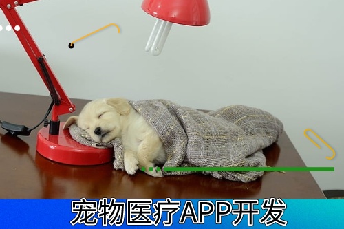 德州寵物醫(yī)療APP開發(fā)有什么功能模塊
