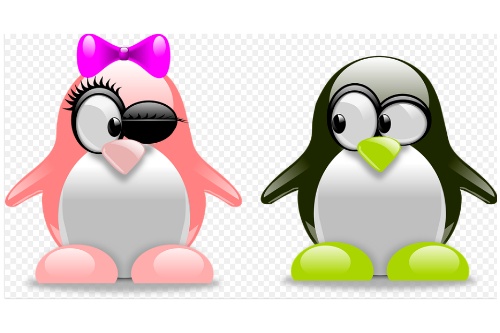 市場對婚戀小程序開發(fā)的需求(圖1) 市場對婚戀小程序開發(fā)的需求(圖1)