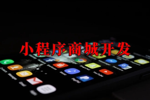 湖北小程序商城開發(fā)實現(xiàn)線上線下一體化運營(圖1)