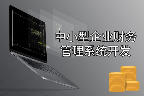中小型企業(yè)財務(wù)管理系統(tǒng)開發(fā)設(shè)計思路