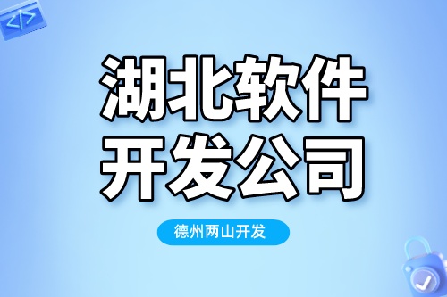 選擇湖北軟件開發(fā)公司，需要考慮哪些因素(圖1)