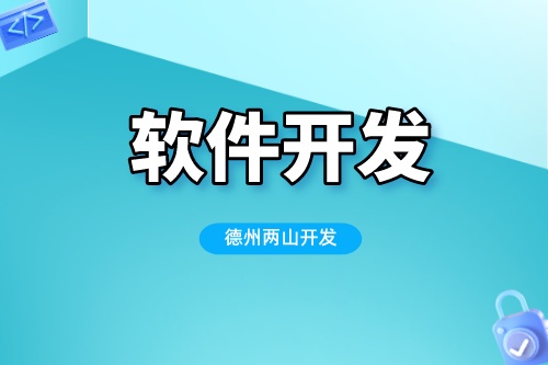 德州軟件公司拒接二次開發(fā)原因
